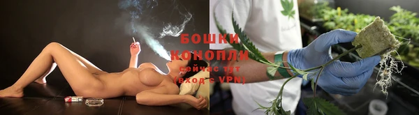 ешки Дмитровск
