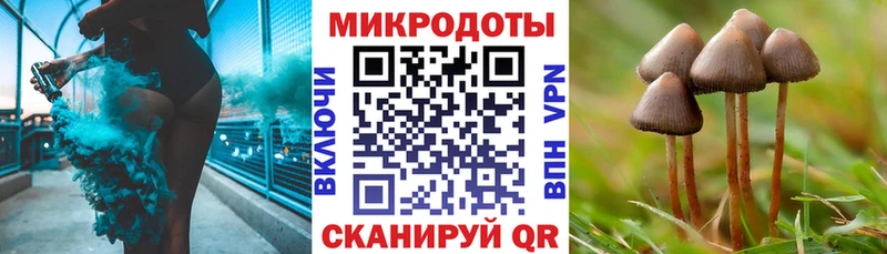 наркота  Глазов  Галлюциногенные грибы Cubensis 